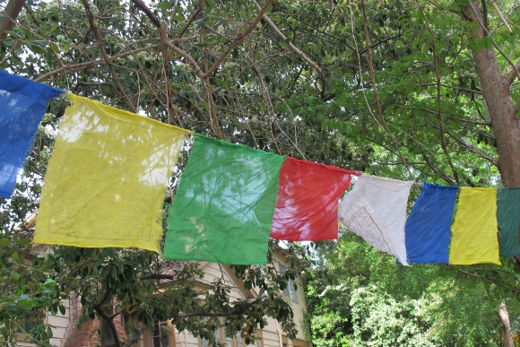 Multicolored Tibetan prayer flags strung on a rope fly at the Himalayan Fair Berkelely 2014. Photo by BF Newhall