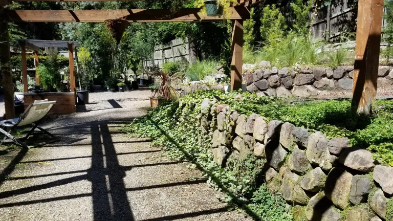 shopping but plant-nursery-closing