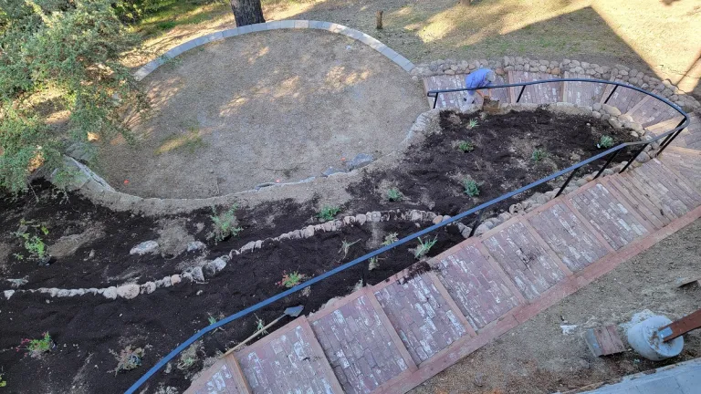 pollinator garden in my brick-rock-terraced-backyard