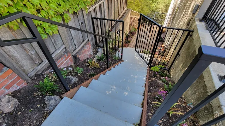 a pollinator in my pollinator garden side-yard-stairway-remodel