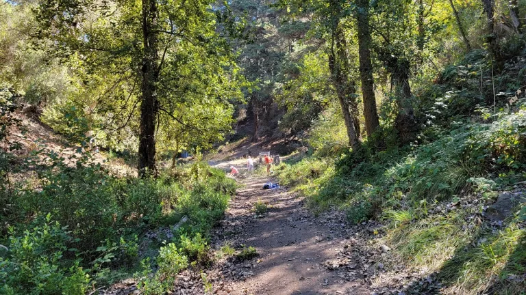 BEACONSFIELD-CANYON a beautiful wild urban oasis