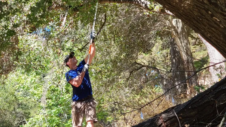 Patrick-cross-reducing-fire-load-in-Beaconsfield-Canyon, a wild urban oasis