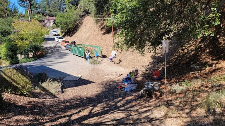 Beaconsfield-Canyon-a-wild-urban-oasis