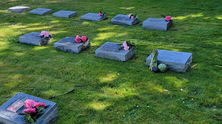 widowed two years with a husband at cypress-lawn-cemetery