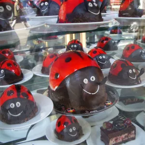 Colorful chocolate candy for sale in Istanbul shop. Photo by Barbara Newhall