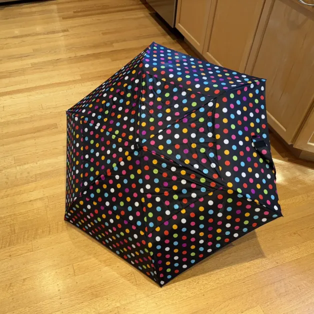 i like my past it's a keep r polka-dotted-umbrella