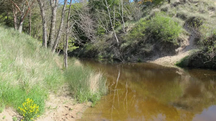 is it ok to kill stuff -- like the Mosquitoes who breed in the slow moving water