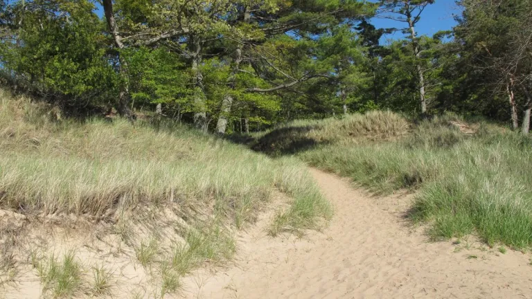 am i an artist or am i a brand? lake-michigan-dunes-path