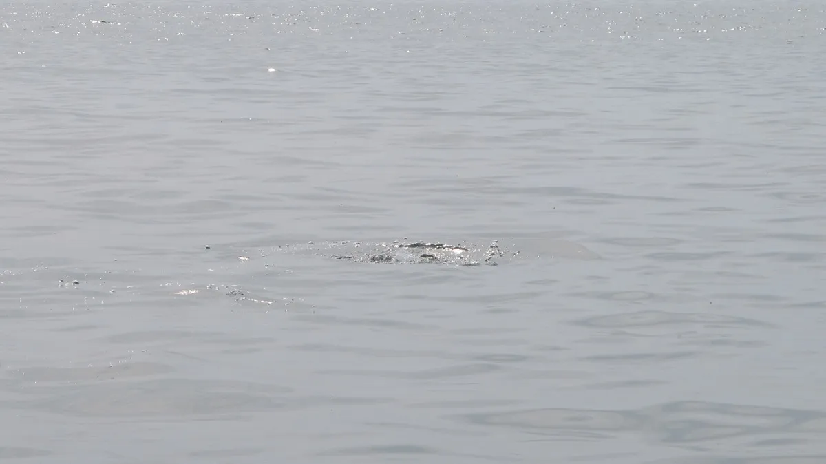 widowed shouldn't I be over it by now? man-disappears-in-lake-michigan