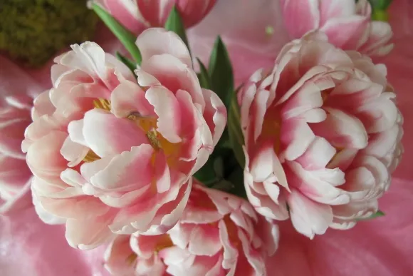 Detail 4 of "Pretty in Pink" by Valerie Lee and Robin Lee,  J. Miller Flowers, Oakland. Photo by Barbara Newhall