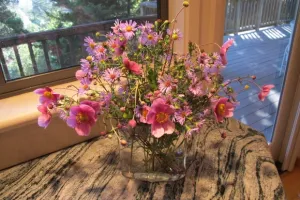 Japanese anemones and asters arranged in a glass vase on a granite counter. Photo by BF Newhall