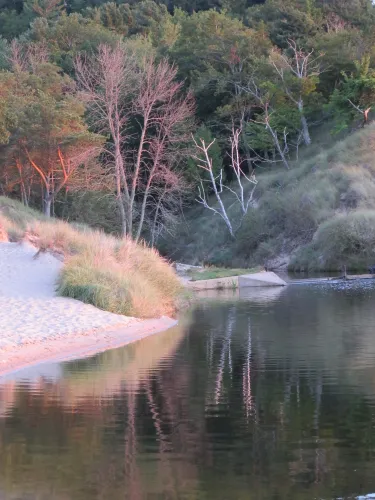 Trees reflected in the water of a channle leading into Lake Michigan near Ludington. Photo by Barbara Newhall Barbara Falconer Newhall travels up and down Michigan's lower peninsula, visiting friends and family and putting on book events for "Wrestling with God."