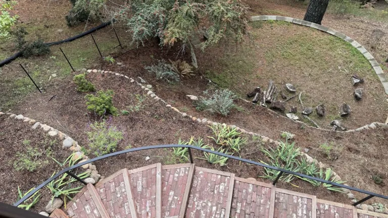 can-this-garden-be-saved-my-california-natives-are-looking-bleak/↗