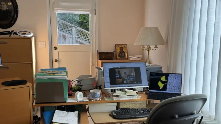  I'm Thankful for a Window. It's Small, but It Opens Onto . . . Everything a-wruters-desk