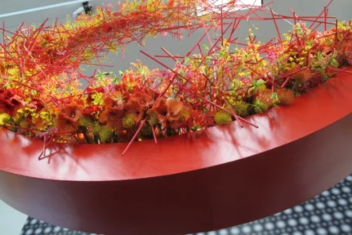 "Concentrik" by Waterlily Pond Studio at the DeYoung Museum's Bouquets to Art show 2015 as seen from below. Photo by Barbara Newhall