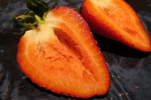 A strawberry the size of a tangerine purchased at Safeway supermarket is yellowish and partly hollow inside. Photo by BF Newhall
