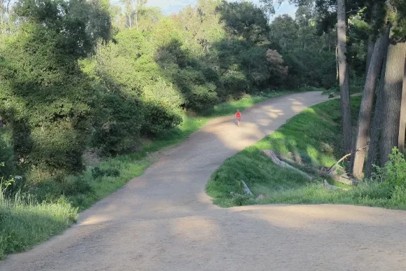 A hiker on a wide San Francisco Bay Area trail disappears in the soft late afternoon sunlight. Photo by BF Newhall