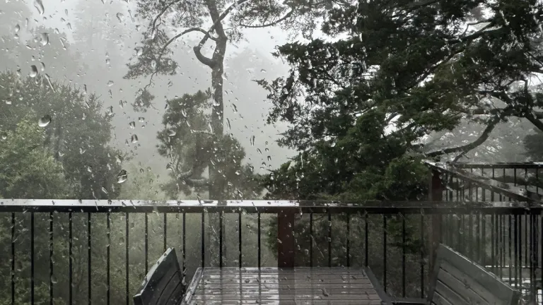 widowed he's still not back rain-february-19-bay-area