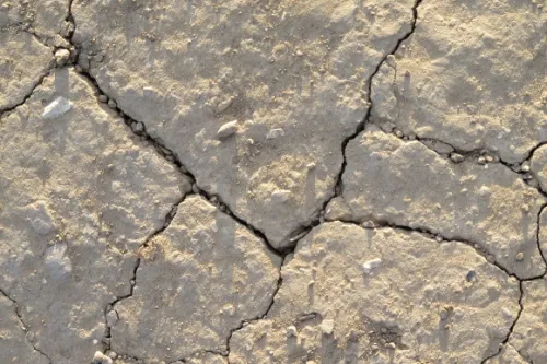 The sun casts long shadows on pebbles and cracks in dried mud on a California walking trail. Photo by BF Newhall