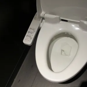 A white porcelain toilet in Pudong district of Shanghai with bidet-like features of warm water spray. Photo by BF Newhall
