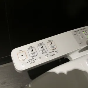 The poop on China, where Controls for a toilet in Pudong district of Shanghai that can spray warm water like a bidet. Photo by BF Newhall