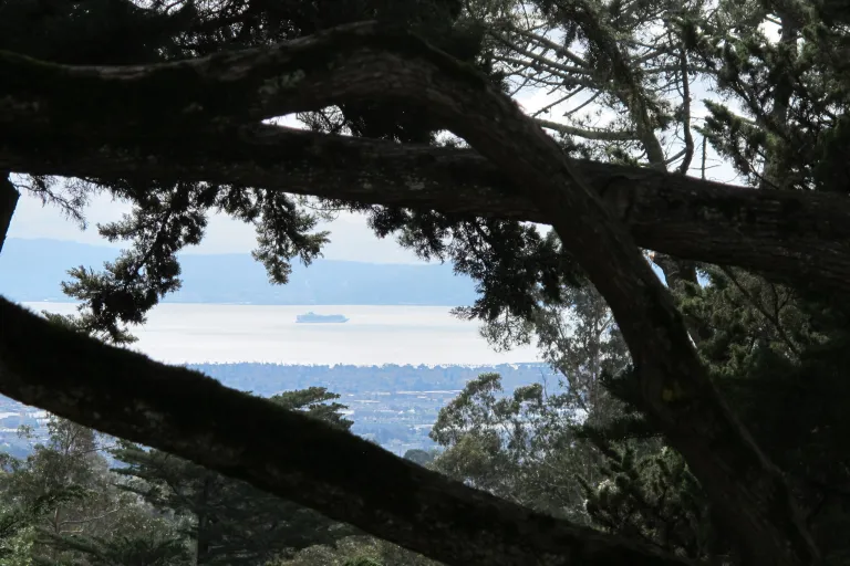 Buzz saw bliss -- lumberjacks and their equipment blessed us with this beautiful view