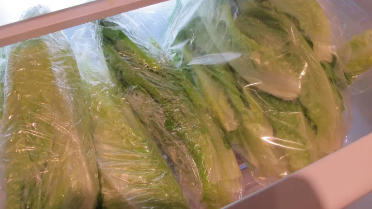stay out of supermarkets - and too much lettuce was the result. 