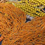 Orange and yellow beaded necklaces from the Himalayas were selling for $5 to $20 at the Himalayan Fair in Berkeley, CA, 2014. Photo by BF Newhall