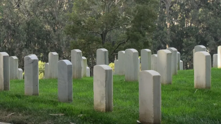 the-older-you-get-the-more-dead-people-you-know/ rows-of-grave-markers