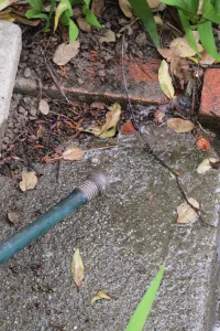 washing-machine-siphoned