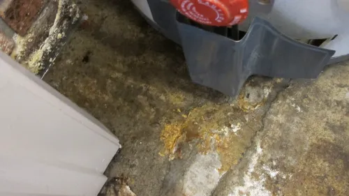 broken-washing-machine- and-leaky-water-heater