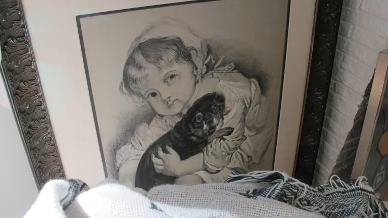 victorian-drawing-of-a-girll