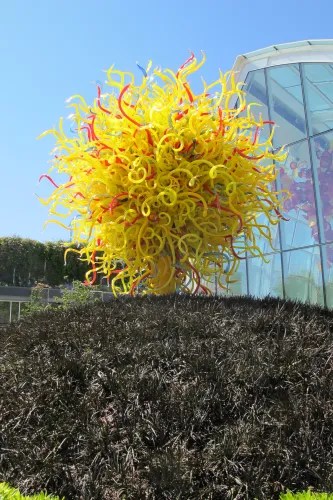 A huge ball of spiraling yellow glass is on display in the garden of Chihuly Garden and Glass museum in Seattle. Photo by Barbara Newhall
