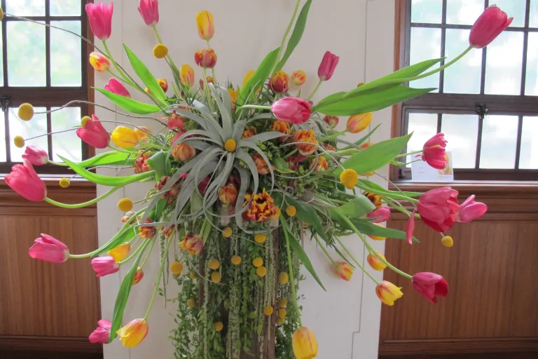 11th Annual Tower Chapel Tulip Exhibition, Mouintain View Cemetery, Oakland, CA GINGERLEAF FLORAL, OAKLAND, ELLEN KIM, "ERUPTION"