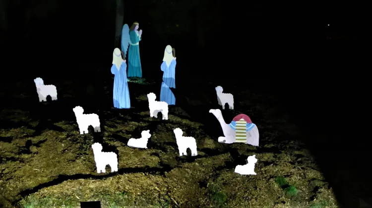 christmas-shepherds