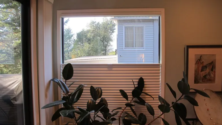 top-down-bottom-up-cellular-shades