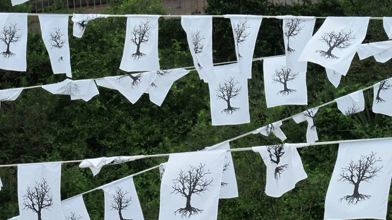 those people and austin-tree-flags
