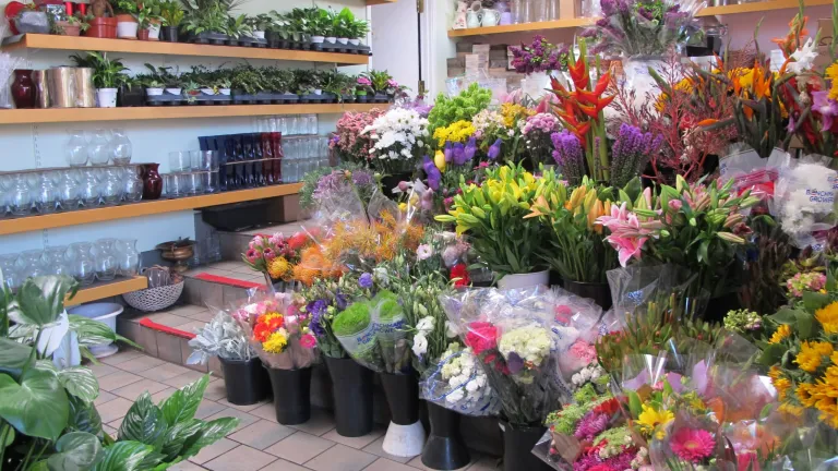 when-someone-dies-send-flowers