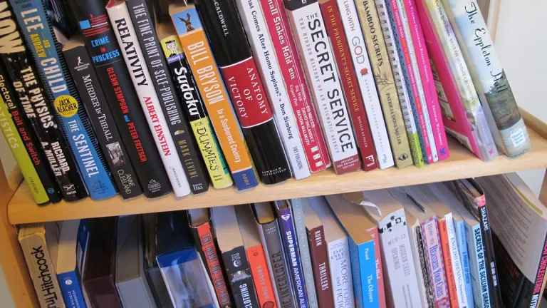 all shall be well bookshelf-with-chess-books