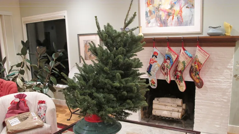 How to Wrestle a Christmas Tree Into Its Stand. deal with the tilting-Christmas-tree