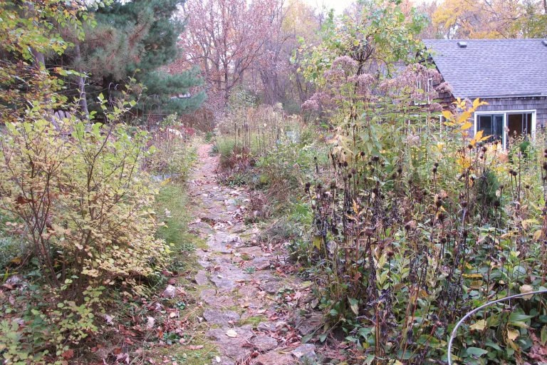 Autumn in the garden where, like it or not, the seasons impose their wills on every living thing. Photo by Barbara Newhall
