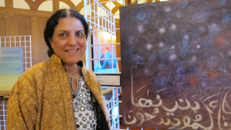 polarization-in-America people-who-think-like-you Painter-Salma-Arastu