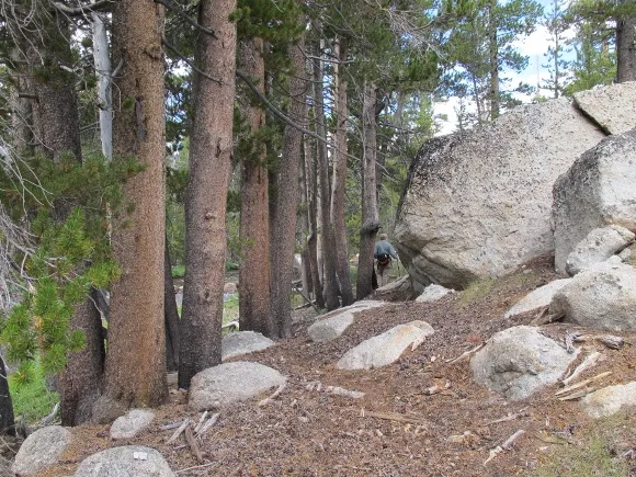 Al Aistrope at Tuolumne Meadows. Photo 2011 by Barbara Falconer Newhall