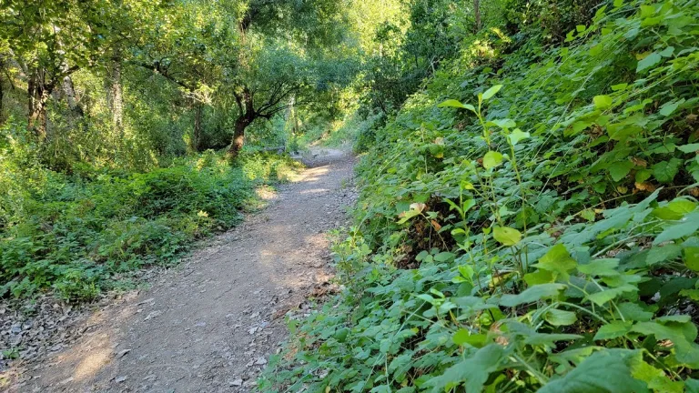 blackberry-canyon-press