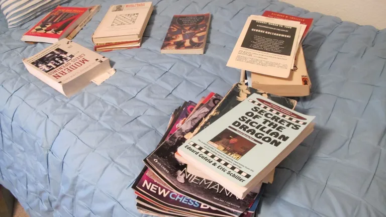 my kids are coming for a visit. Peter found the chess-books