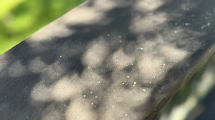 he knew how to show a girl a good time -- crescent shaped eclipse shadows