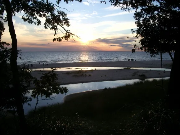 lake michigan sunset with trees. Photo by BF Newhall