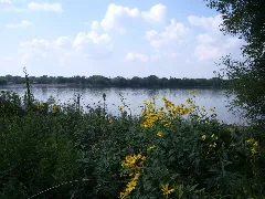 One of many lakes sprinkled throughout Minneapolis