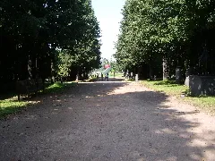 A walk in the garden.