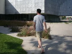 Looking for the entrance